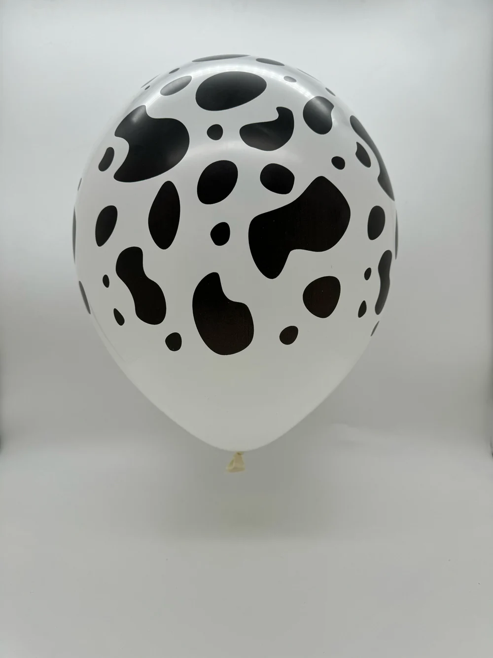 12" Latex Balloons All Around (25 Per Bag) Cow Print Decomex White - Image 2