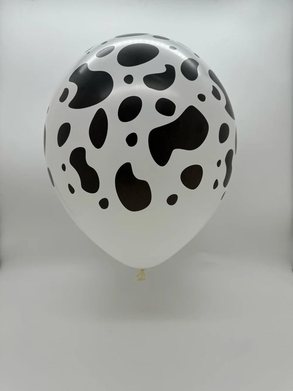 12" Latex Balloons All Around (25 Per Bag) Cow Print Decomex White - Image 3