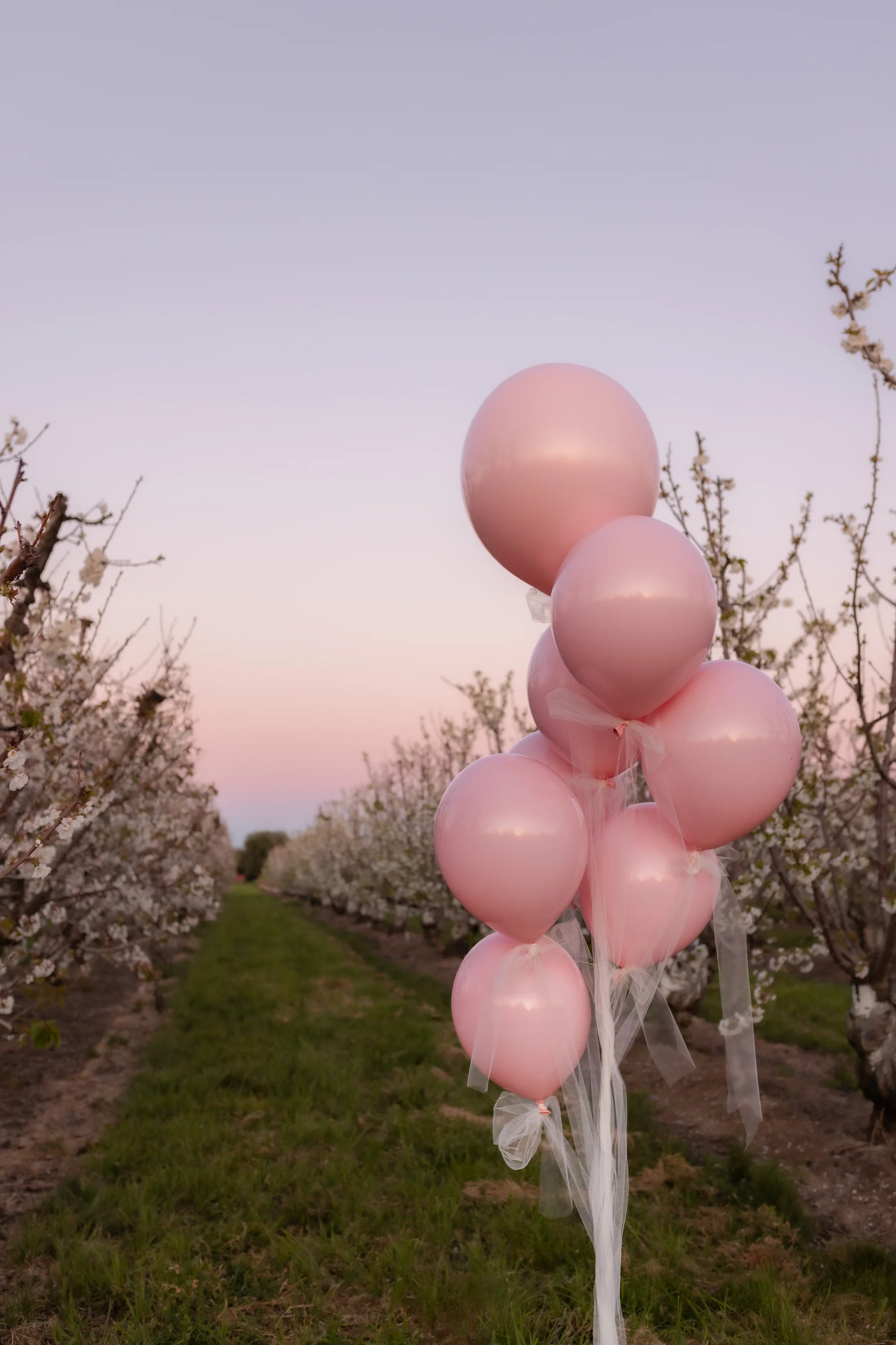 17" Romey Pearl Pink Tuftex Latex Balloons Designer Balloons (50 Per Bag) - Image 5