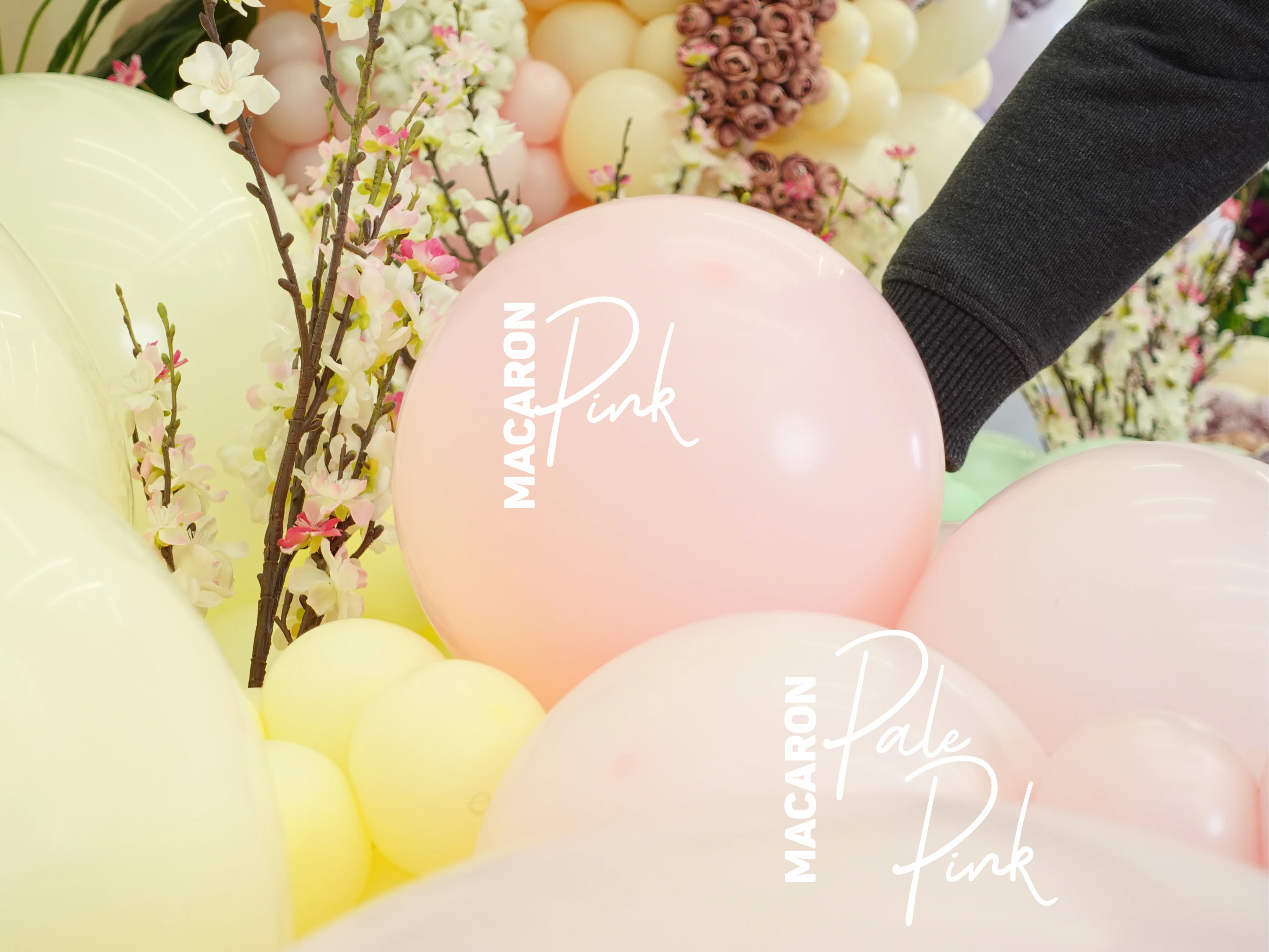 24" Kalisan Latex Balloons Standard Macaron Pale Pink (5 Per Bag) - Image 3