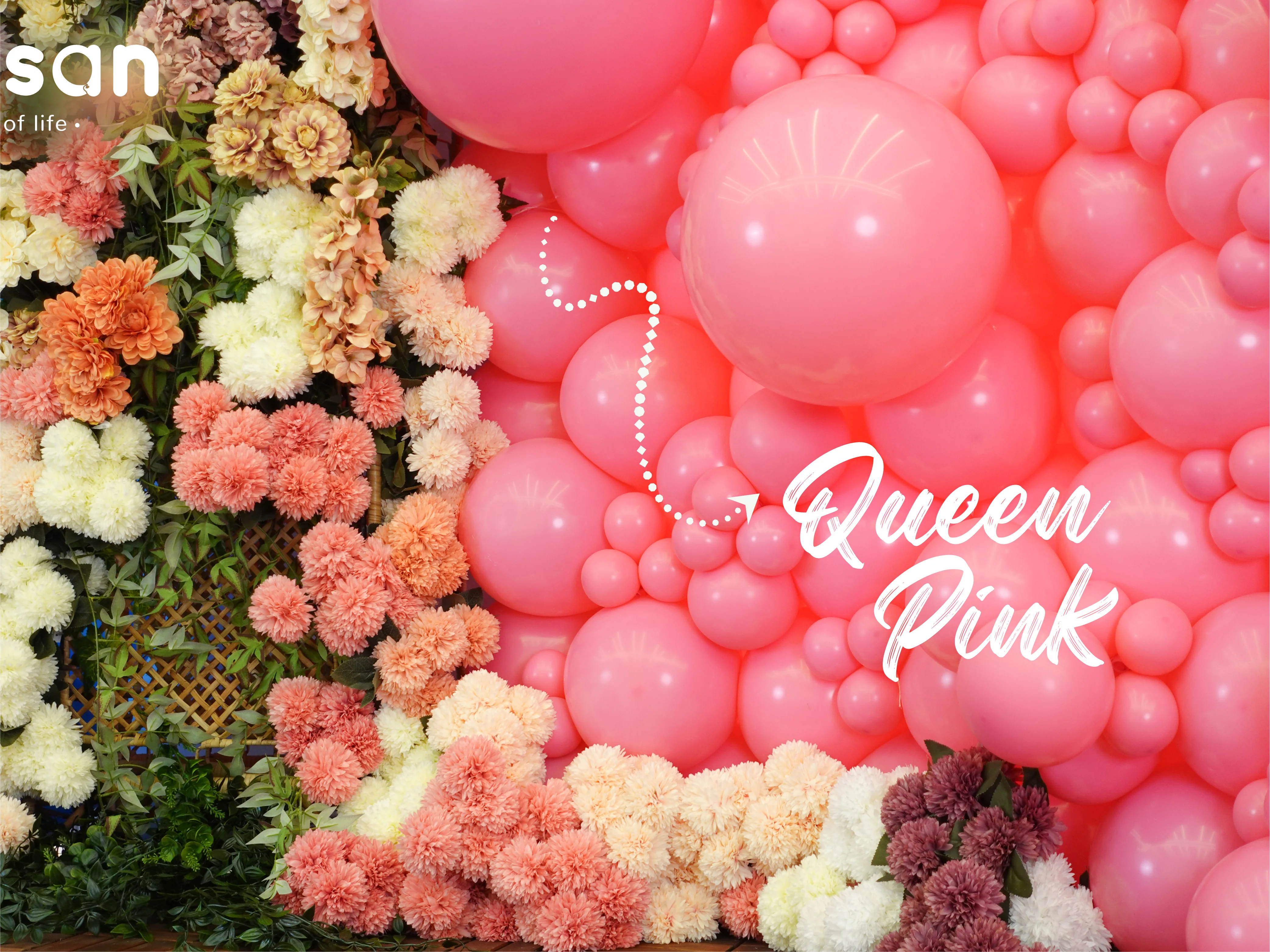 24" Kalisan Latex Balloons Standard Queen Pink (5 Per Bag) - Image 3