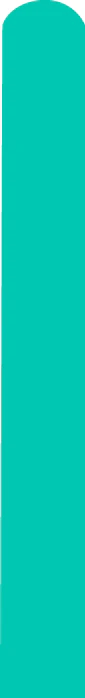 260D Deco Pine Tree Green Decomex Twisting Modelling Latex Balloons (100 Per Bag)