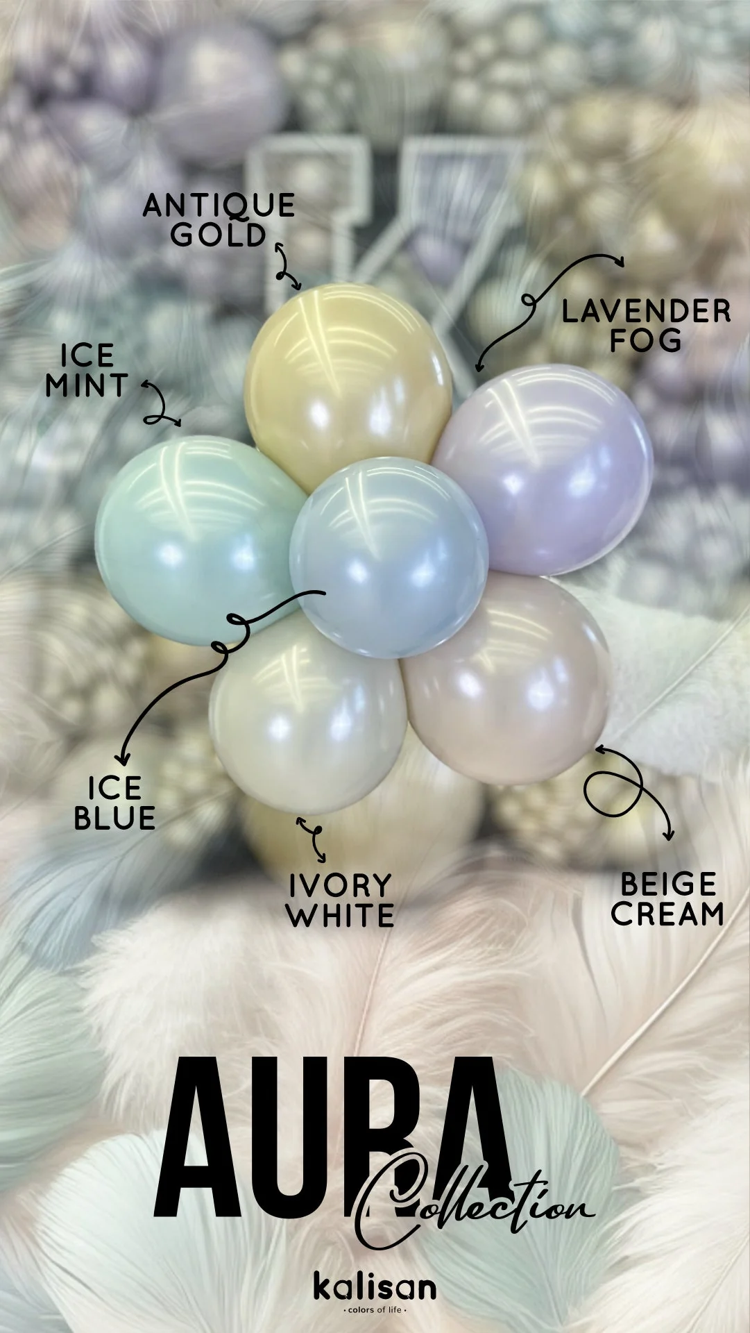 260K Kalisan Brand Twisting Latex Balloons Aura Ivory White  (50 Per Bag) Nozzle Up - Image 16