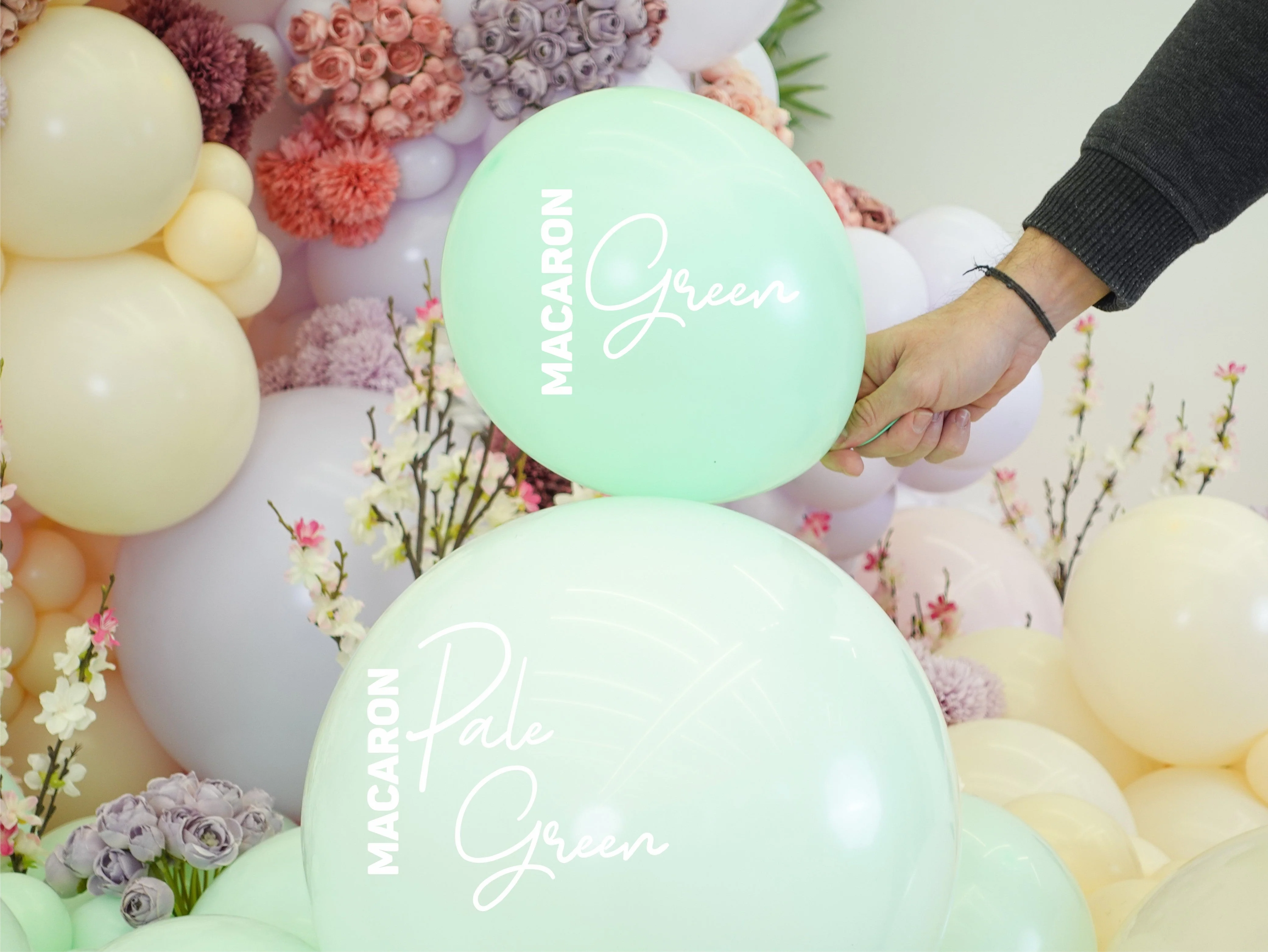 260K Nozzle Up Kalisan Twisting Latex Balloons Standard Macaron Pale Green (50 Per Bag) - Image 4