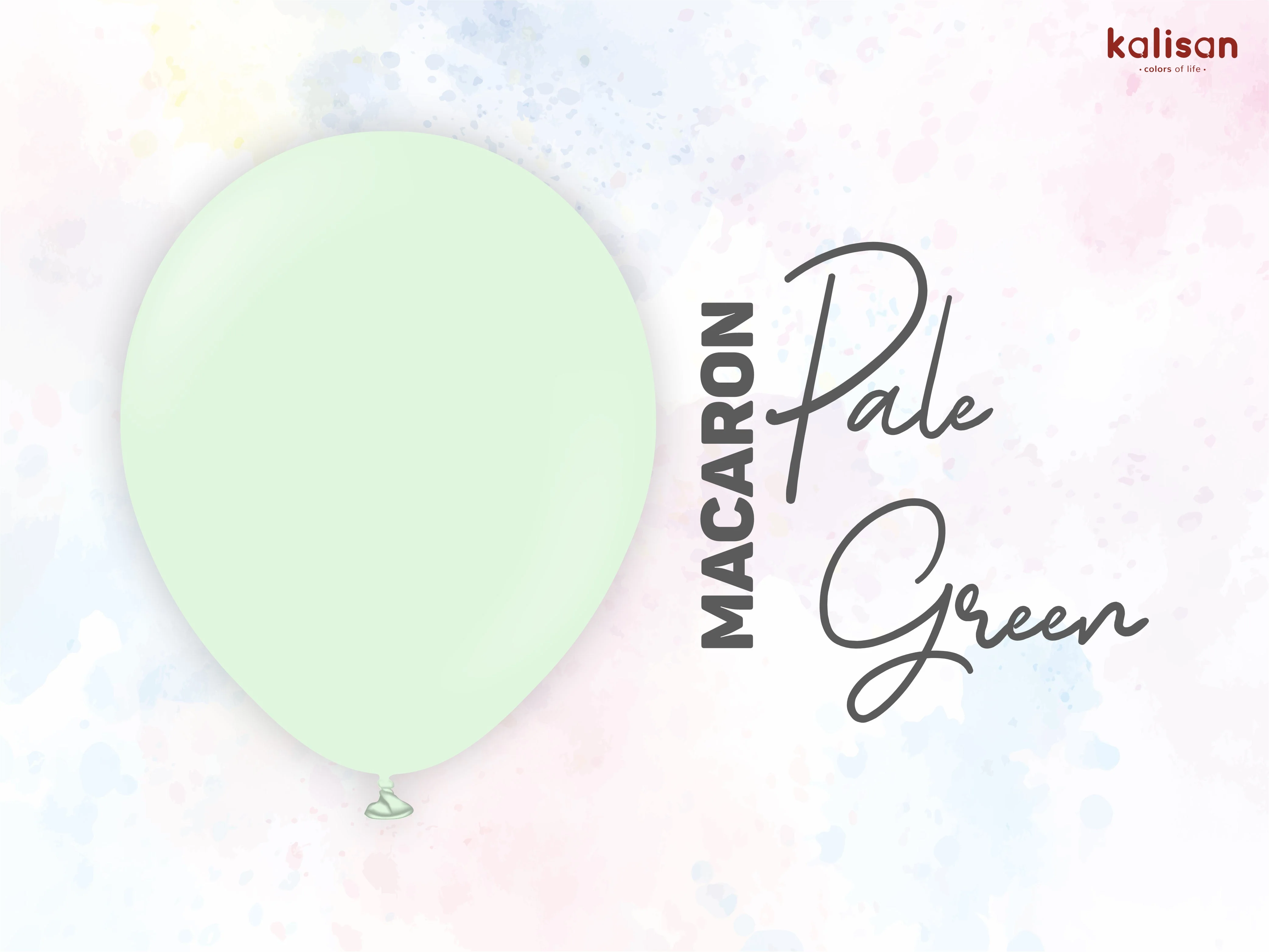 260K Nozzle Up Kalisan Twisting Latex Balloons Standard Macaron Pale Green (50 Per Bag) - Image 5