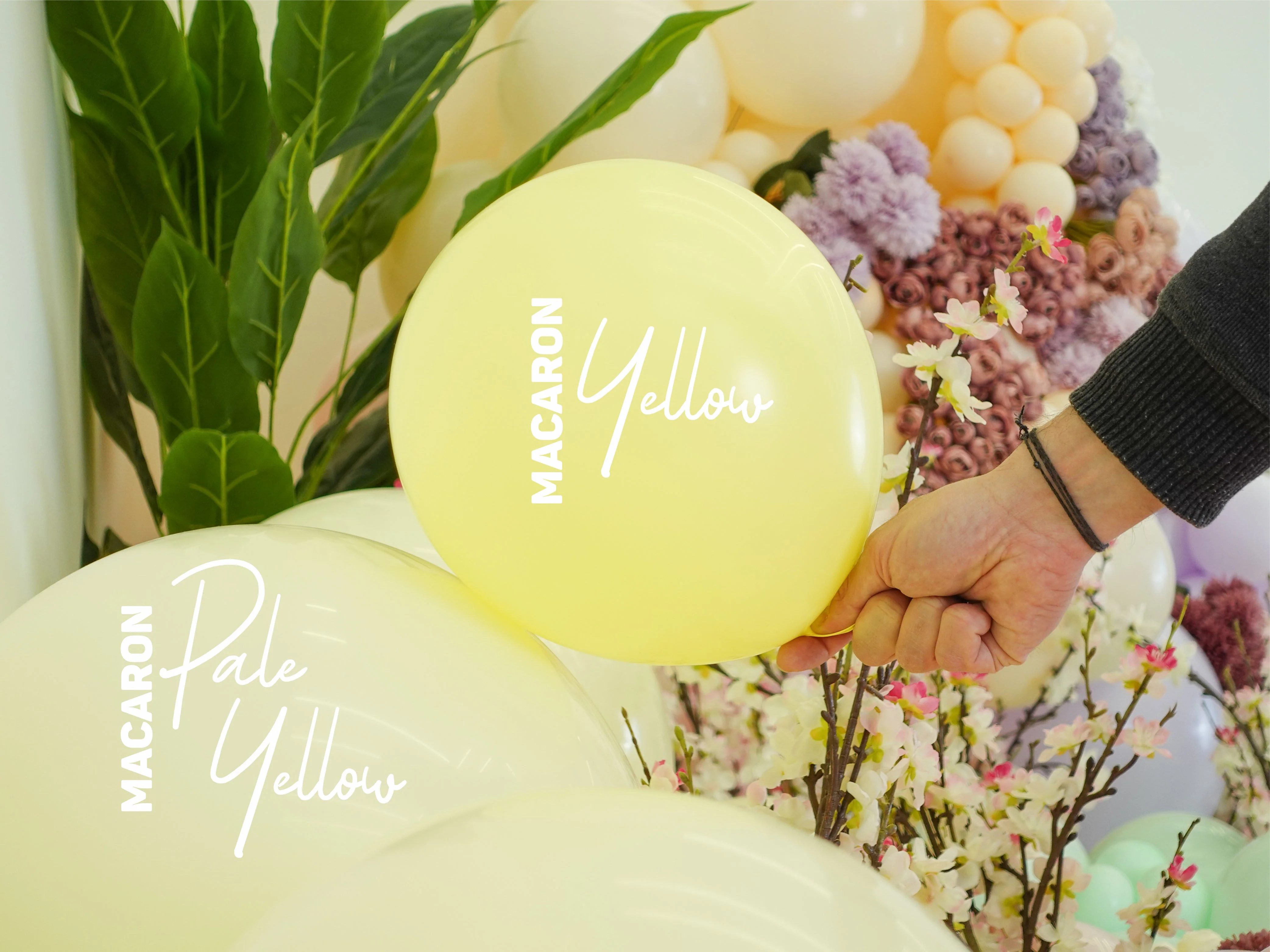 360K Nozzle Up Kalisan Twisting Latex Balloons Standard Macaron Pale Yellow (50 Per Bag) - Image 4