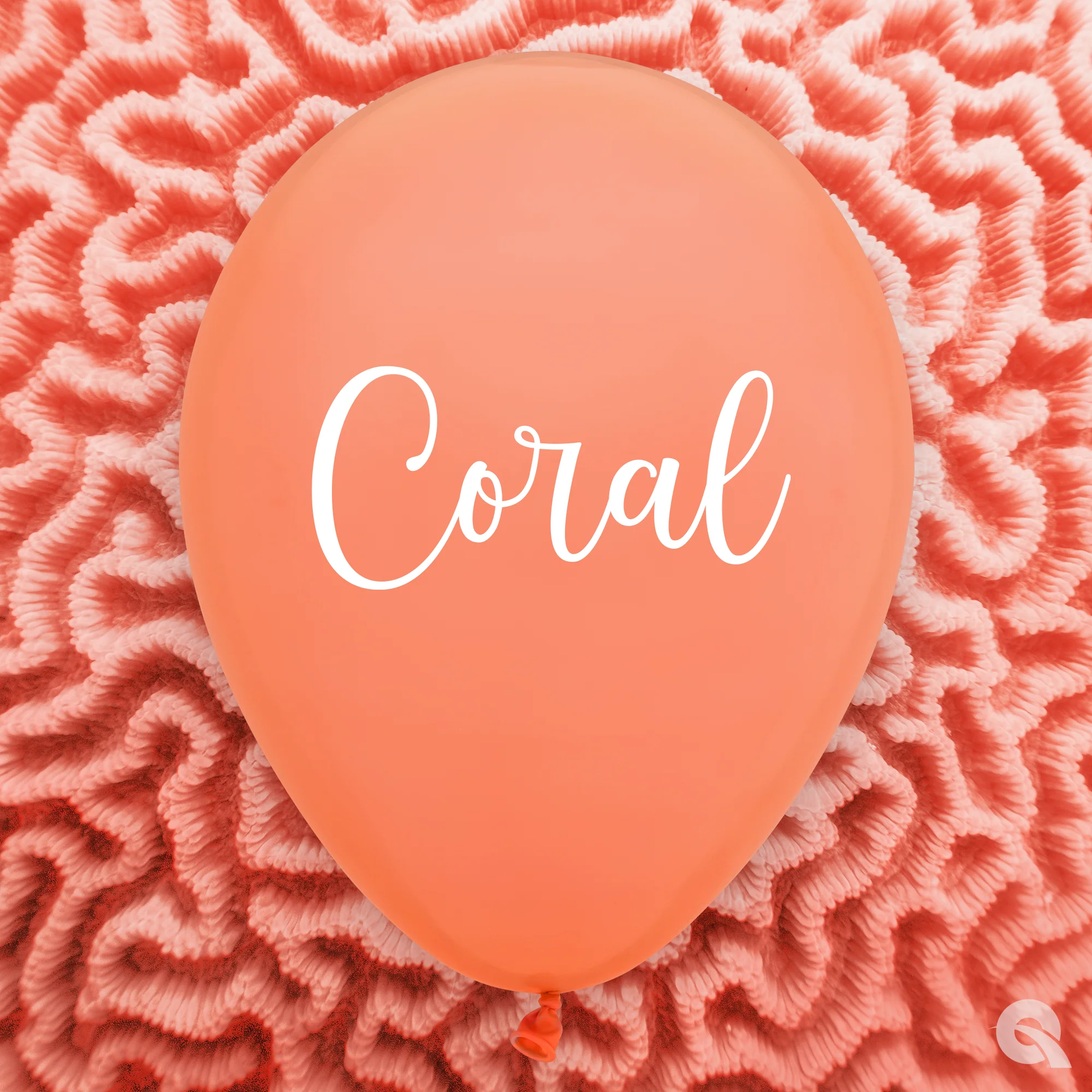 5" Qualatex Latex Balloons Coral (100 Per Bag) - Image 4
