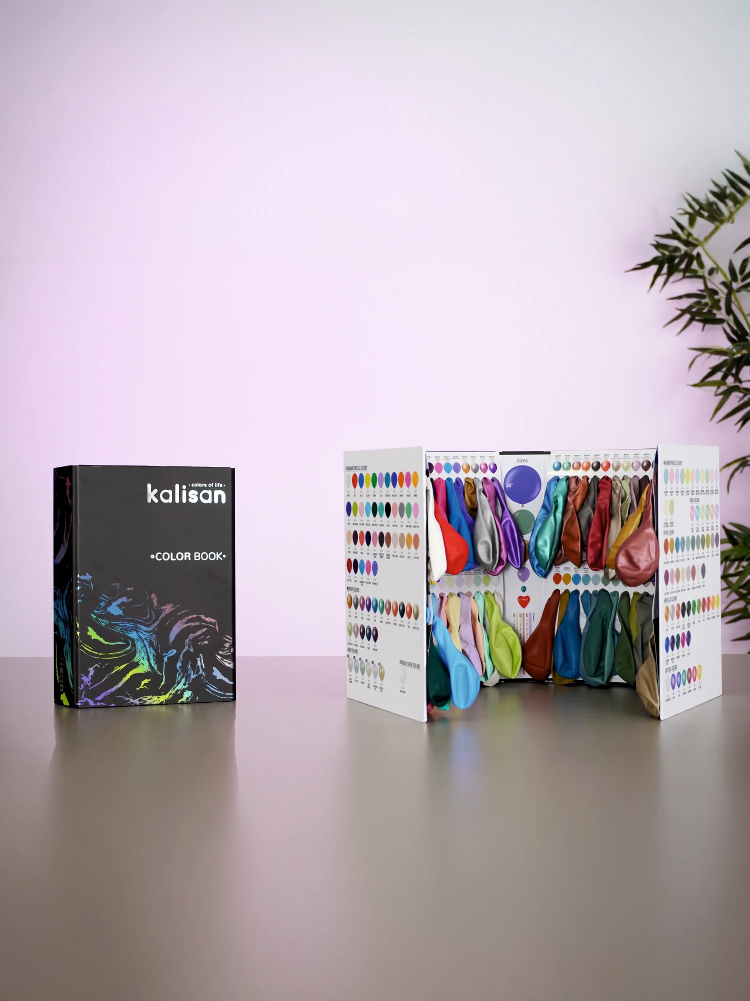 2026 Kalisan Latex Balloons Black Color Book Portfolio - Image 2