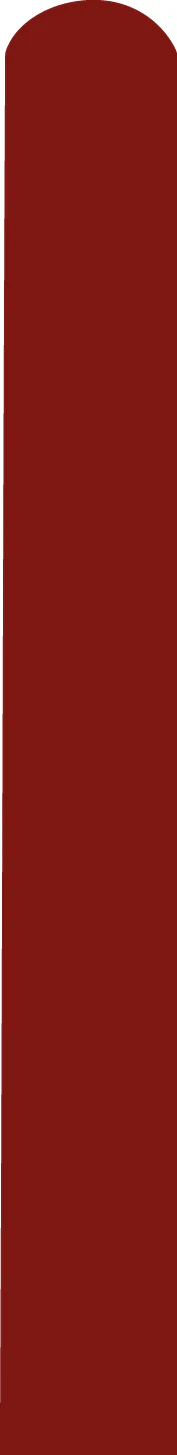 260D Standard Dynasty Red Decomex Twisting Modelling Latex Balloons (100 Per Bag)