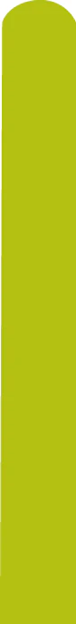 T160D Deco Bright Lime Decomex Twisting Modelling Latex Balloons (100 Per Bag)